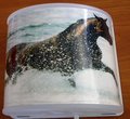 Cheval