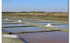 ÉCOMUSÉE DU MARAIS SALANT à Loix sur Ile de Ré.