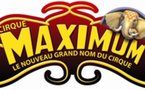 la vie quotidienne dans notre cirque