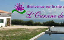 L'Oursine de Ré / Aquaculture / Oursins