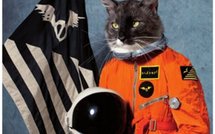 KLAXONS / Tournée Française - Janvier 2011