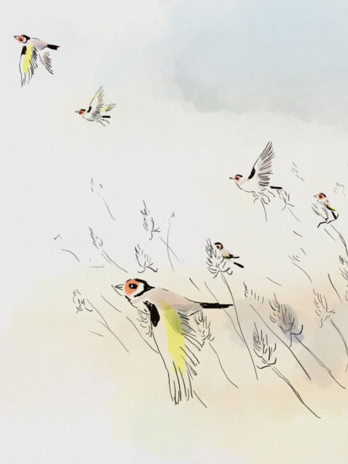 Drôles d'oiseaux de Charlie Belin - L'Air de rien de Gabriel Hénot Lefèvre - Le Tout petit voyage de Emily Worms
