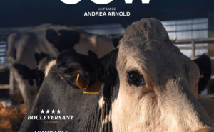 Cow, Réalisateur Andrea Arnold