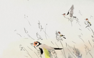 Drôles d'oiseaux de Charlie Belin - L'Air de rien de Gabriel Hénot Lefèvre - Le Tout petit voyage de Emily Worms 