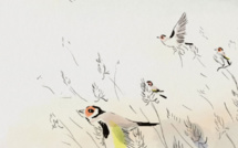 Drôles d'oiseaux de Charlie Belin - L'Air de rien de Gabriel Hénot Lefèvre - Le Tout petit voyage de Emily Worms 