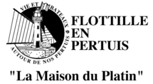 ( Ile de Ré ) La Maison du Platin 