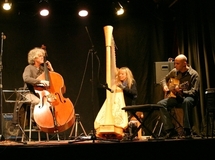 Harp's Wings Trio