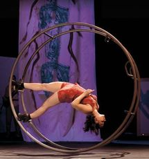 LE CIRQUE PLUME LE CIRQUE PLUME