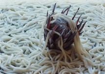 YOSHIYUKI Riku - Trêve - Matin - YOSHIYUKI Riku - Trêve - Matin -