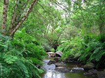 Rivière Cristalline "le Bandiat"