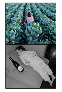 VIRGINIE HOCQ : PREMIERE EXPO PHOTO ! VIRGINIE HOCQ : PREMIERE EXPO PHOTO !