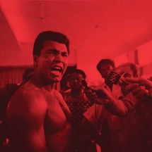 EUROCKEENNES DE BELFORT: EUROCKEENNES DE BELFORT: