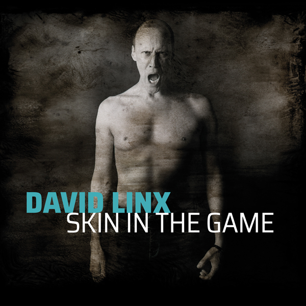 David Linx brille avec l'album Skin in the Game
