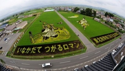 TAMBO ART FROM JAPAN TO CAMARGUE - Festival grands chemins d'envies rhonements