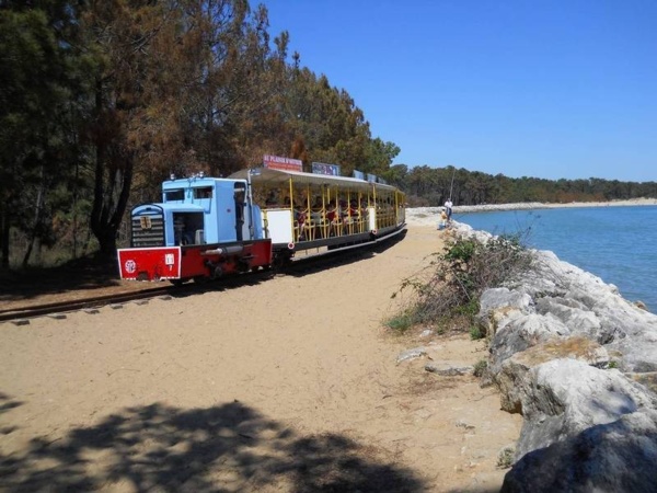 P'tit Train de Saint Trojan P'tit Train de Saint Trojan