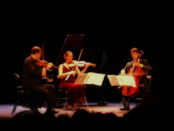 7e Festival International de Musique d'Hyères 7e Festival International de Musique d'Hyères