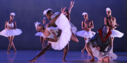 Swan Lake de Dada Masilo