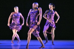 Compagnie the DanCe FaCtory