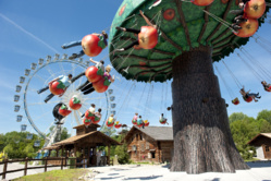 Nigloland, un des plus grands parcs d’attractions français. Nigloland, un des plus grands parcs d’attractions français.