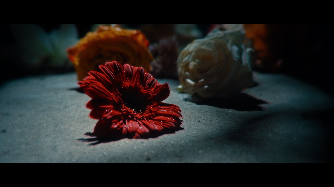 Raining Tears – Hommage aux victimes du 13 novembre 2015