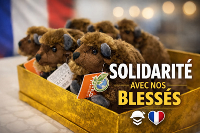 banniere-bisons-126eRI-festival-livre-militaire-mobbee.jpg