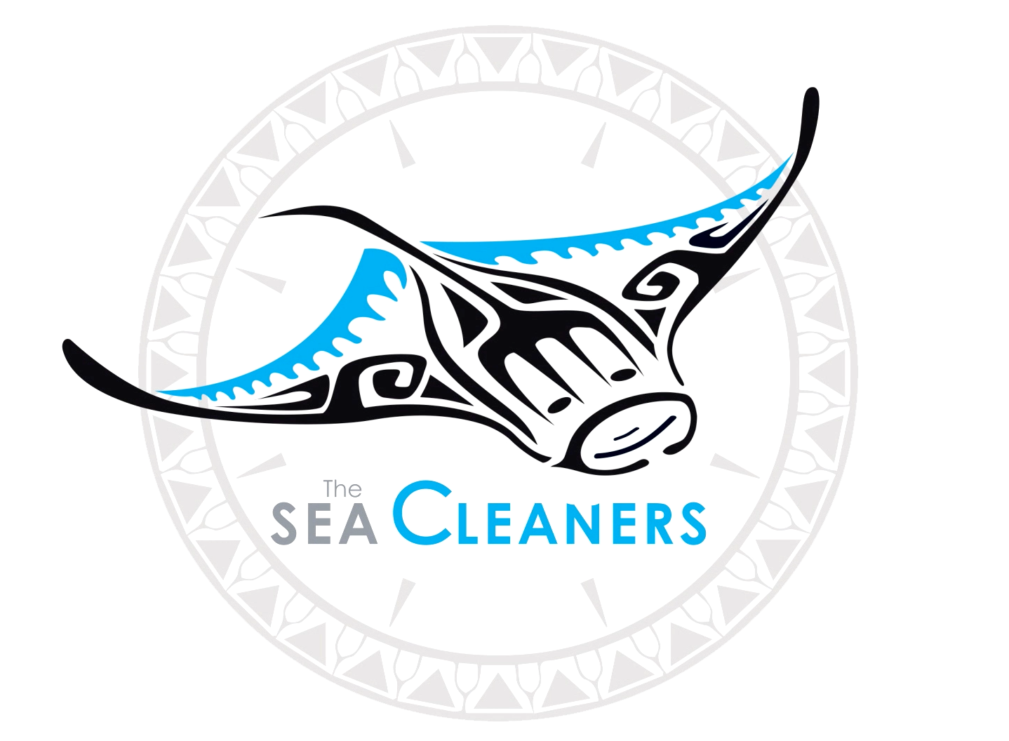 https://www.theseacleaners.org/