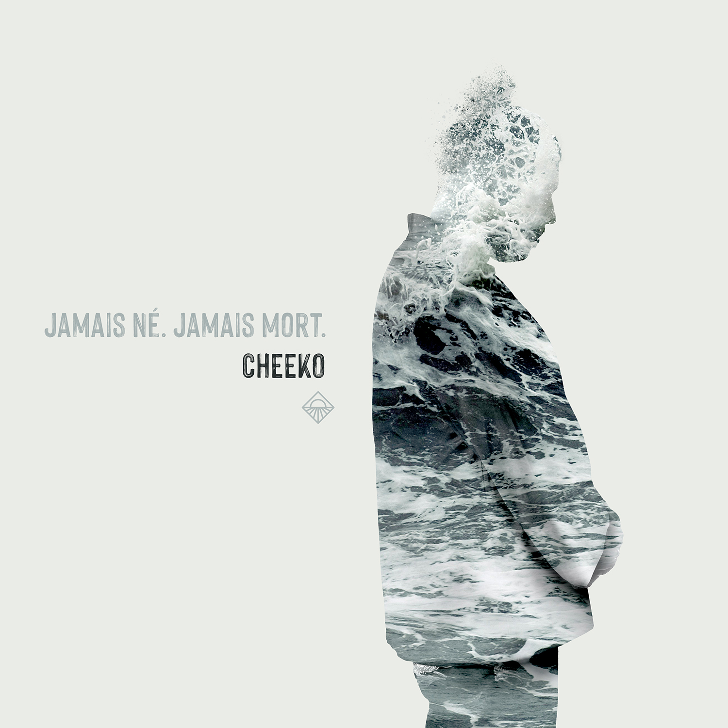 Cheeko sort Jamais Né, Jamais Mort, son Naâman Tribute à voir absolument Cheeko sort Jamais Né, Jamais Mort, son Naâman Tribute à voir absolument