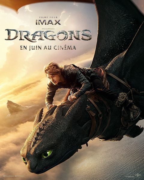 Dragons / Titre original : How to Train Your Dragon