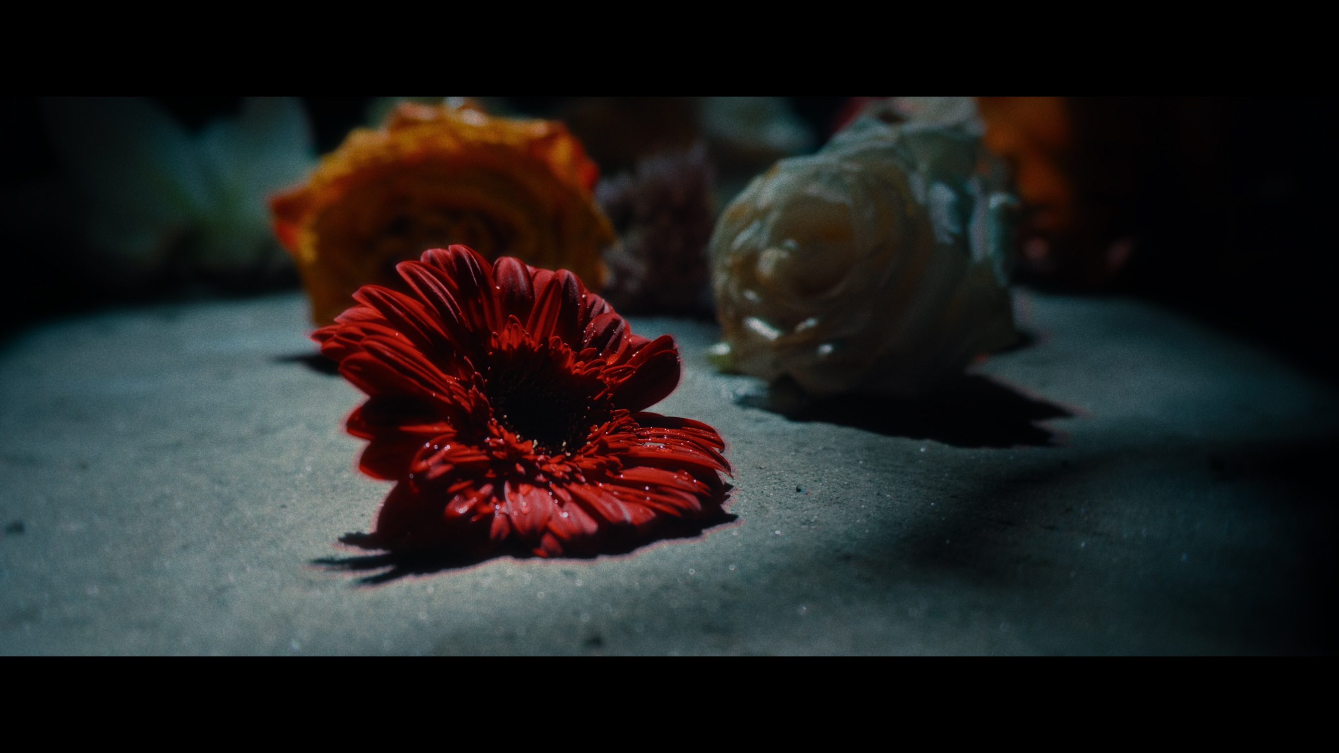 Raining Tears – Hommage aux victimes du 13 novembre 2015