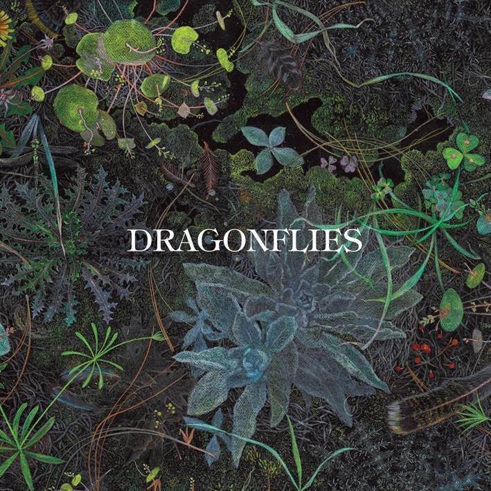 Dragonflies : Dhani Harrison & Nigel Godrich