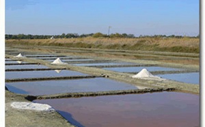 ÉCOMUSÉE DU MARAIS SALANT à Loix sur Ile de Ré. ÉCOMUSÉE DU MARAIS SALANT à Loix sur Ile de Ré.