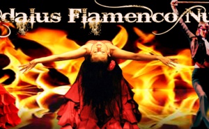 AL ANDALUS FLAMENCO NUEVO EN SPECTACLE - 