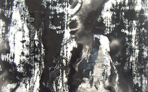 Exposition du peintre François ARNAUD  Exposition du peintre François ARNAUD