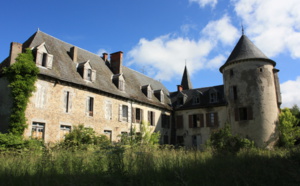 Le Château du Theil situé à Ussel est aujourd'hui en danger.