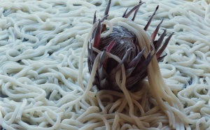 Présentation de la section « Photographie » du Salon d’Automne Présentation de la section « Photographie » du Salon d’Automne