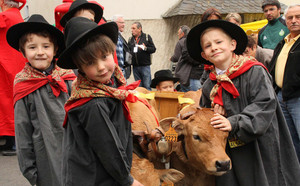 13 ème Edition des Tersons Aubrac