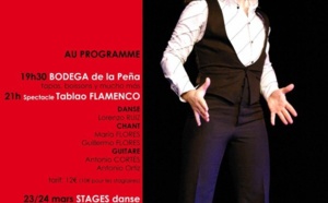 Spectacle + stages FLAMENCO - LORENZO RUIZ - 