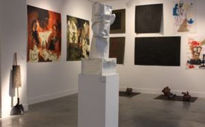 Un nouveau visage pour la diffusion de l'art contemporain à Lyon Un nouveau visage pour la diffusion de l'art contemporain à Lyon