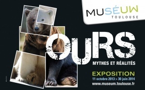Ours - Mythes et réalités Ours - Mythes et réalités