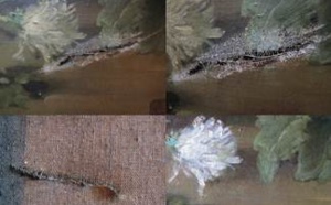 musées de Tulle musées de Tulle