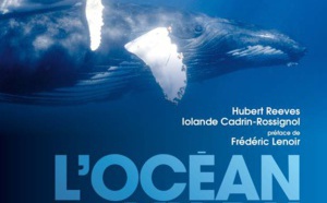 L'Océan vu du cœur L'Océan vu du cœur