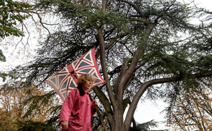 Infolettre Itinerances Photo  Infolettre Itinerances Photo