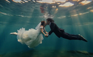 Les Inséparables Piou Piou