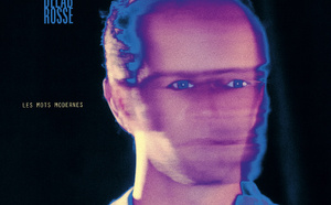 David Delabrosse enchante avec Les Mots modernes réalisé par Denis Piednoir