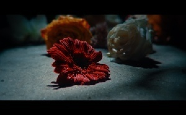 Raining Tears – Hommage aux victimes du 13 novembre 2015