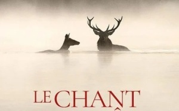 Le Chant des forêts