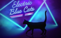 Electric Blue Cats sort l'irrésistible Change Your Partner